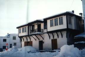 arnea2.jpg (7556 bytes)