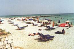kallithea4.jpg (7546 bytes)
