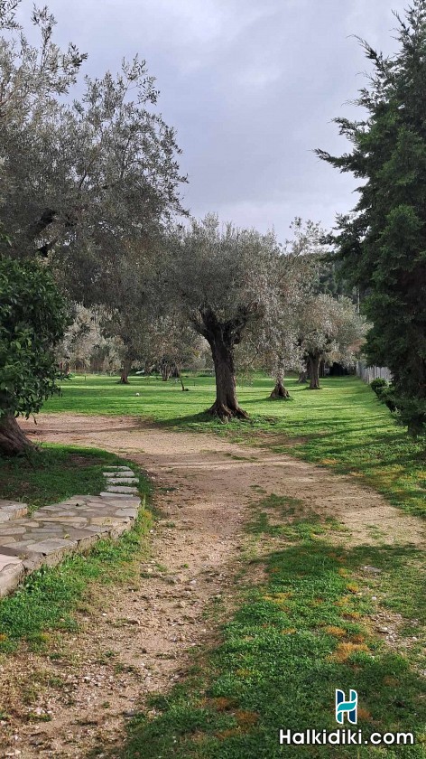 Meerithic ROKKA ROOMS, Garden